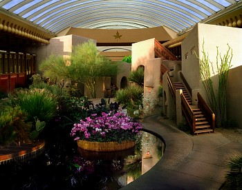 Work: Orchid show, Boulders Resort, Arizona, 2002
